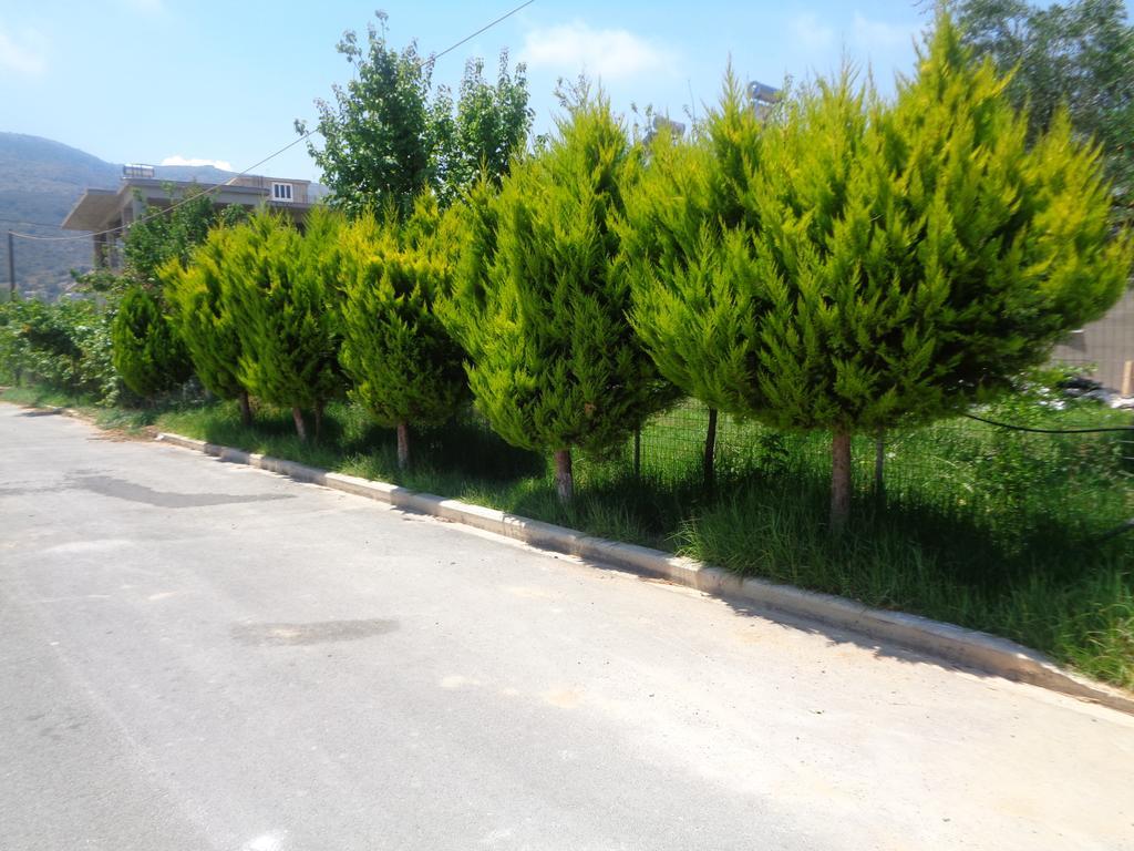 Tsikalaria  Creta Nostos Luxury Apartment מראה חיצוני תמונה